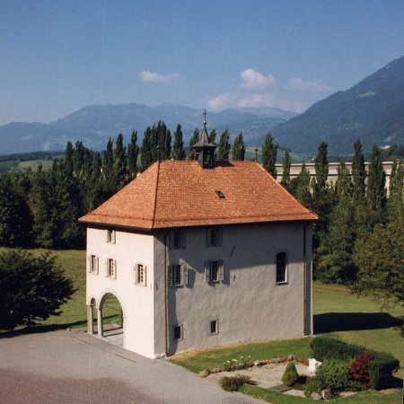 VEROLLIEz-copie